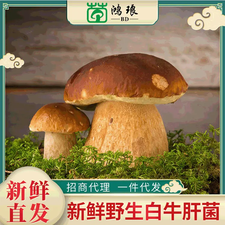 厂家直供牛肝菌散装1000g云南特产食用菌新鲜一件代发源头直供