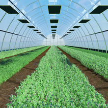 Դ�^�S�Ұl��� ����Nֲ�l��� �ؿ�늟�� �h�t��늟��