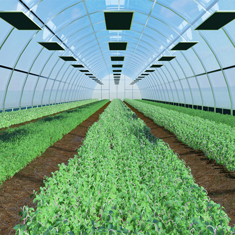 源头厂家发热板 大棚种植发热板 温控电热板 远红外电热板