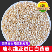 ��޼���ײ����S��޼���M��޼����1kg���w����޼��