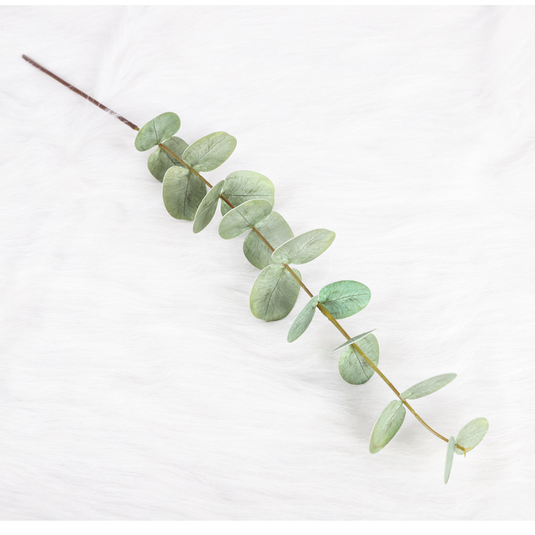 [Qihao] Nordic Simulation Eucalyptus Leaf Scene Layout Plant Flower Arrangement Accessories Fake Flower and Greenery Zamioculcas Leaves