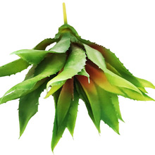 �������J�C �������ֲ����J�C �Ҿ��b��ֲ��[��ֲ���辰