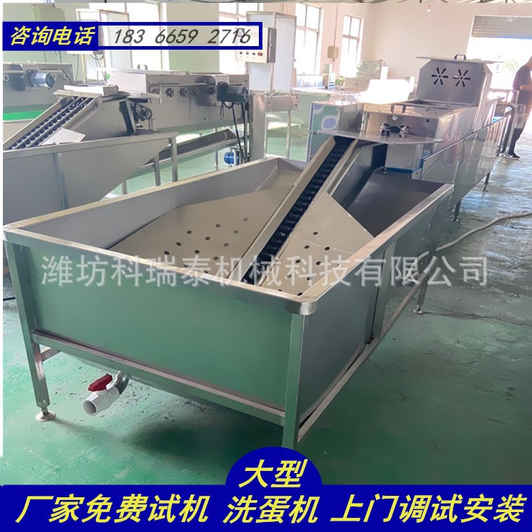 自动上蛋省人工洗蛋机 循环水喷淋鸡鸭蛋清洗流水线 厂家批发零售