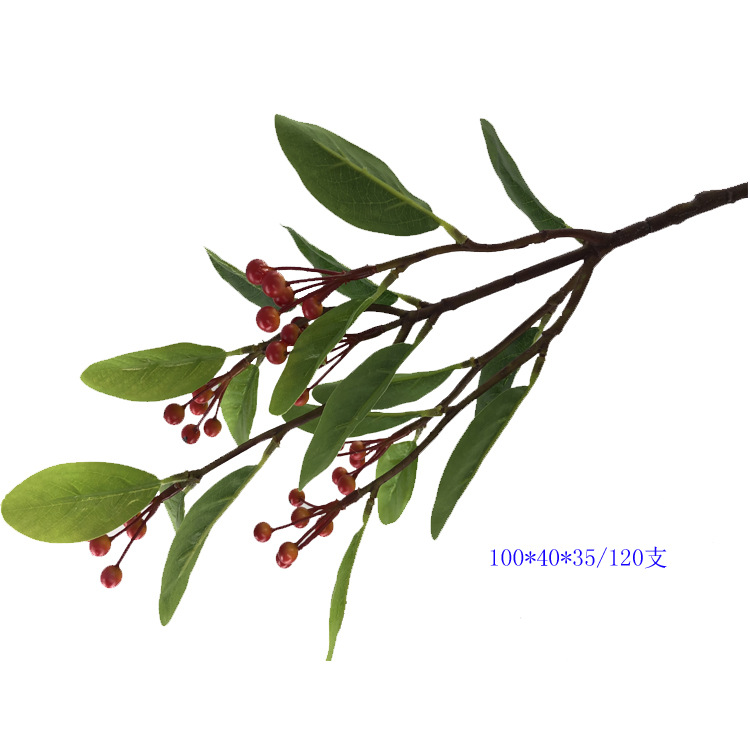 冬青果四叉枝15叶8串48果62CM1.jpg