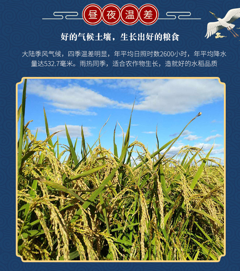 同江市順丽琦油贸有限公司(1)_08