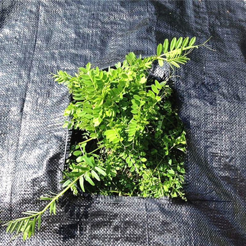 100克加厚园艺地布  防草布  PE材料 可定做尺寸 量大有惊喜