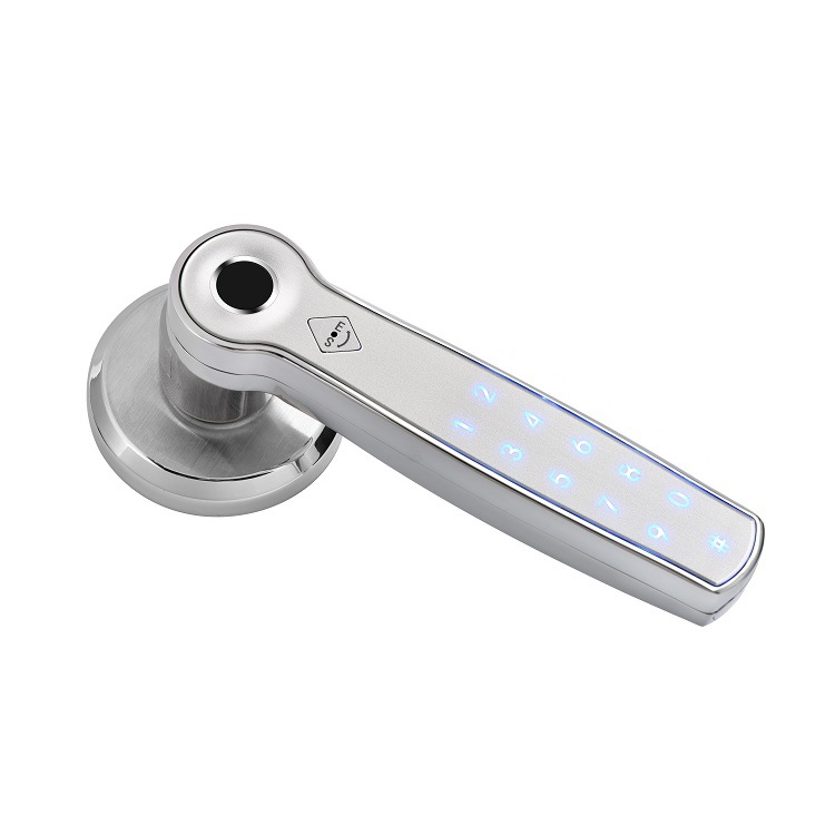 海外仓代发TTlock智能门锁密码锁球形分体锁室内静音指纹锁