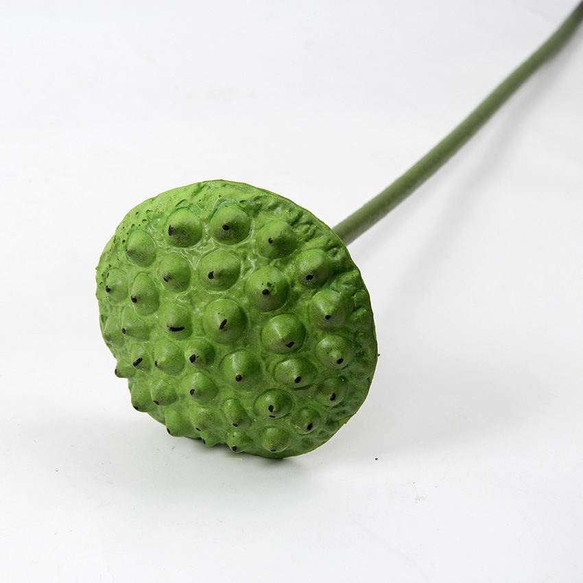 单支莲蓬大 3.jpg