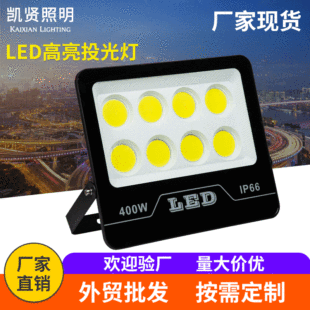 跨境led投光灯户外防水泛光灯100W大功率 草坪庭院聚光投射广告灯详情7