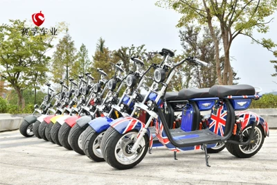 Factory direct supply electric scooter small adult scooter two-wheeled scooter motorcycle cross-border