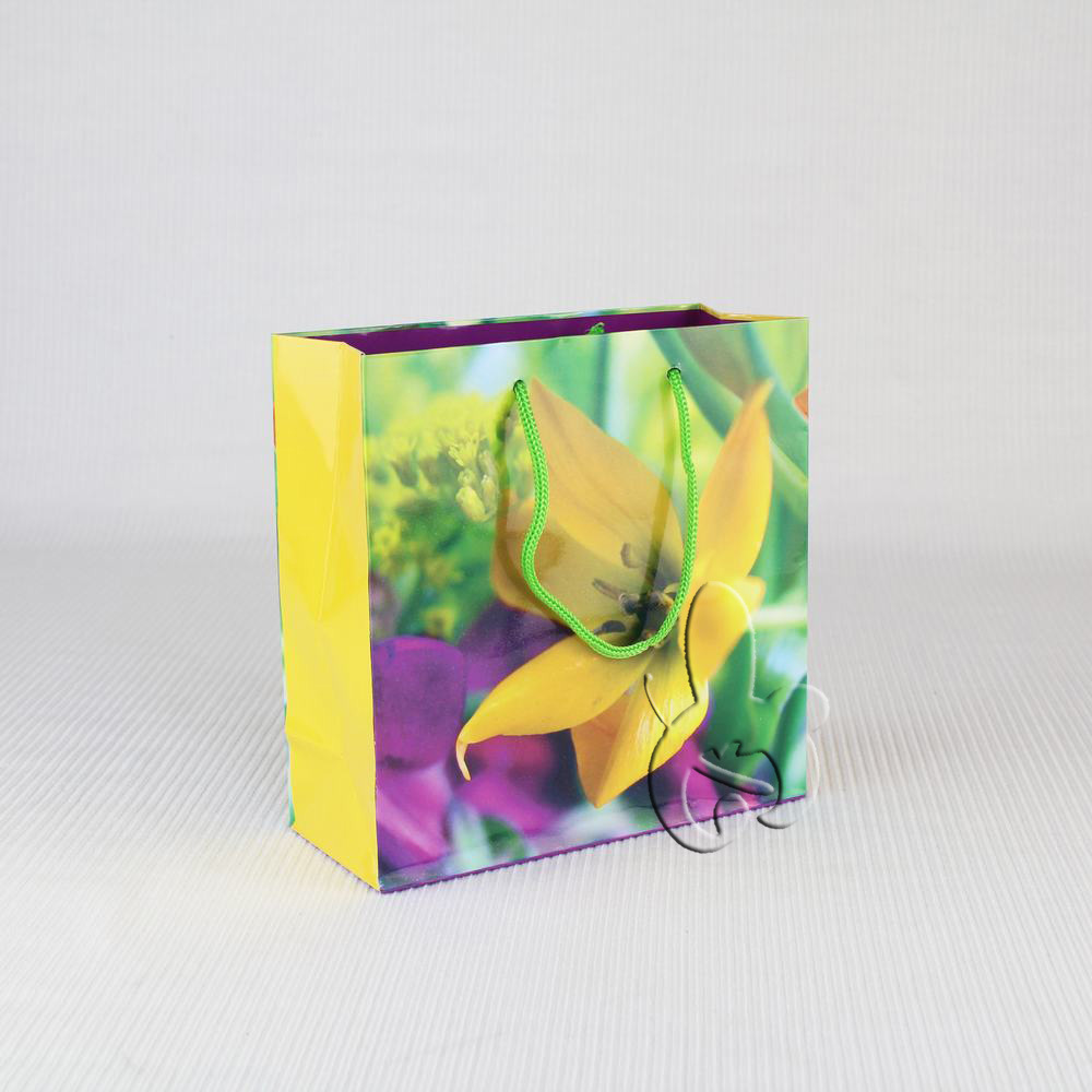 纸质包装手提袋适用服装类，日常用品等，颜色尺寸款式可定制