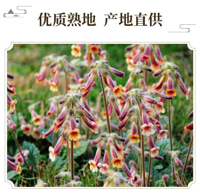 Prepared Rehmannia Root Shu Di Huang 500g Bulk Dried Herb for Decoction and Soup key features