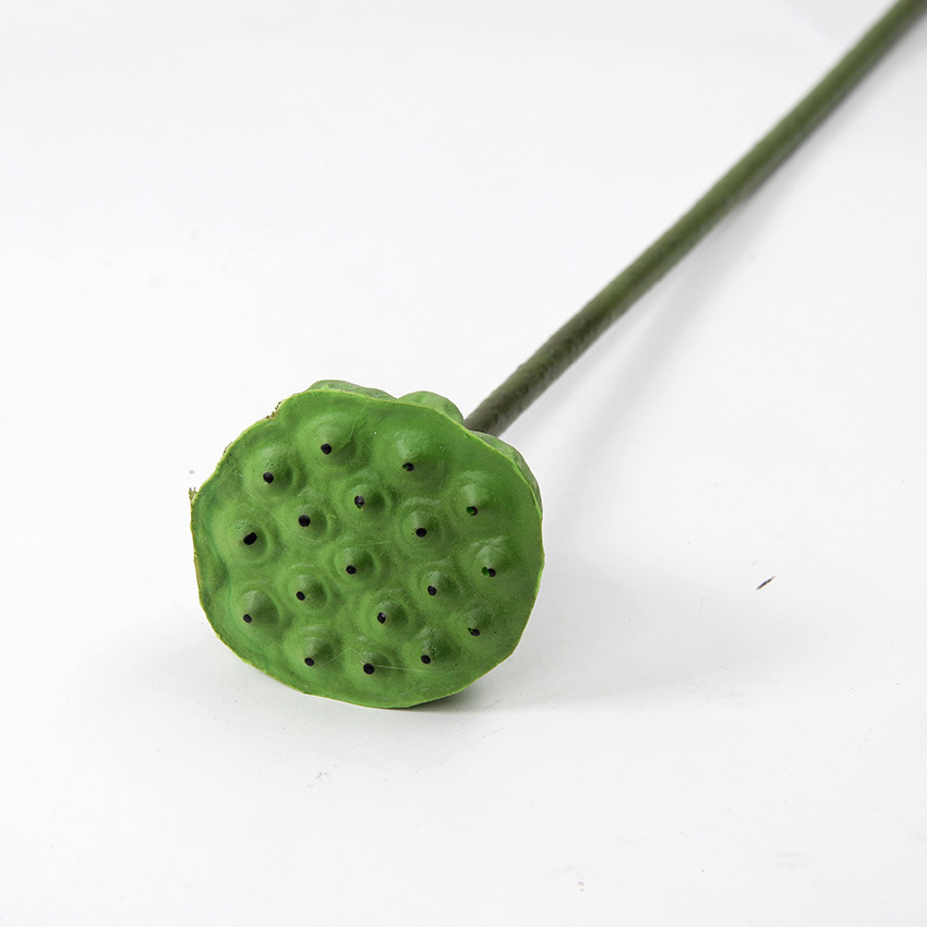 单支莲蓬小 3.jpg