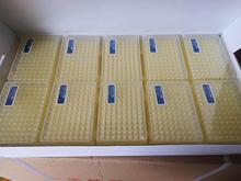 盒装滤芯吸头  无DNA酶/RNA酶无热源 移液器滤芯枪头 各种规格