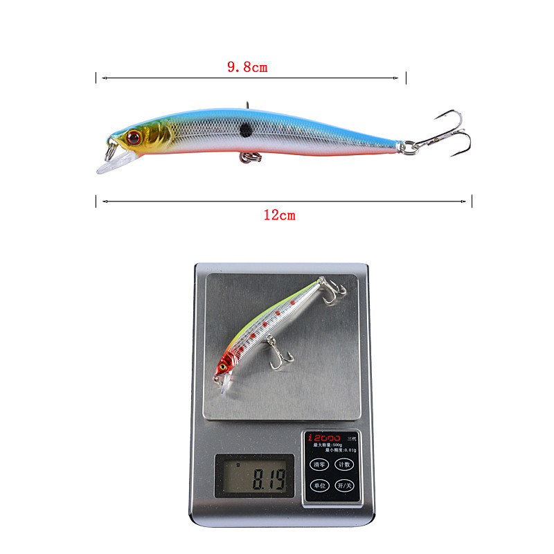 2 Pcs Minnow Fishing Lures Hard Plaice Baits Bass Trout Saltwater Sea Fishing Lure