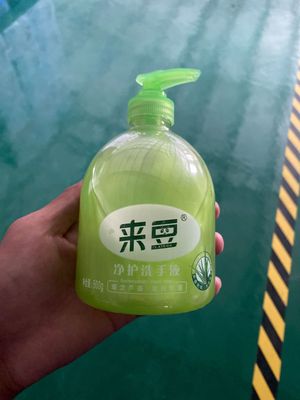 来豆500克芦荟洗手液，温和补水保湿滋润泡沫清洁oem厂家直销批发