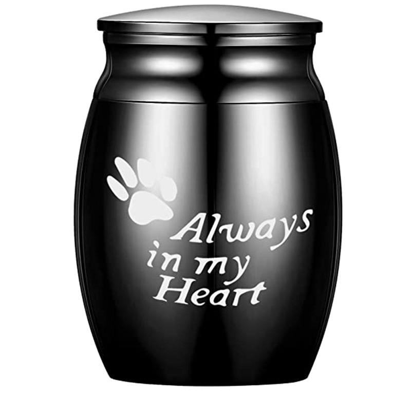 227619737A4AC6BCBE2EFC0ED5EE2E