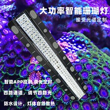 大功率大型海洋馆水族灯 可调光海水缸珊瑚补光生长灯  模拟日出