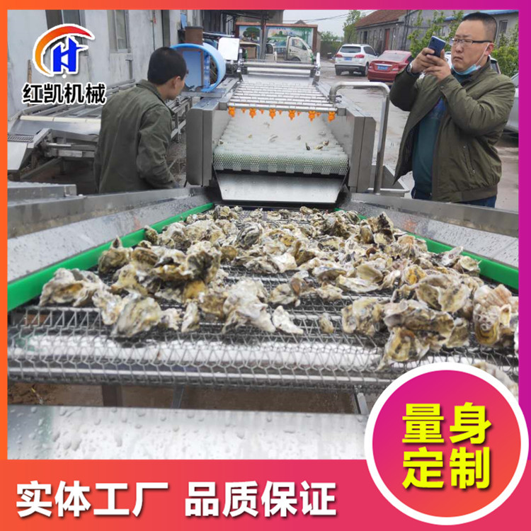 大连生蚝牡蛎清洗机 水循环高压喷淋毛辊清洗机 贝类清洗设备