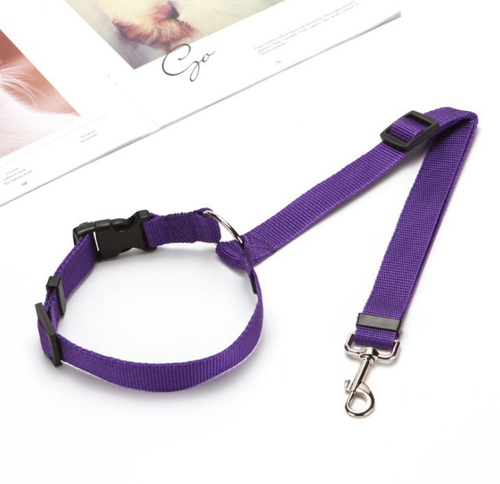 Cinturón de seguridad del perro mascota cuerda de tracción del coche cinturón de seguridad del coche dos en uno fuera cuerda de perro suministro de fábrica