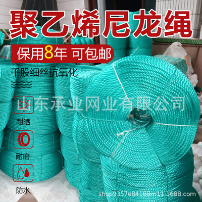 绳子尼龙绳子吊秧绳渔网绳全新料聚乙烯绳子货车拉线塑料晾衣绳