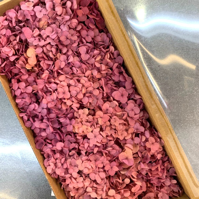 微信图片_20200702163757