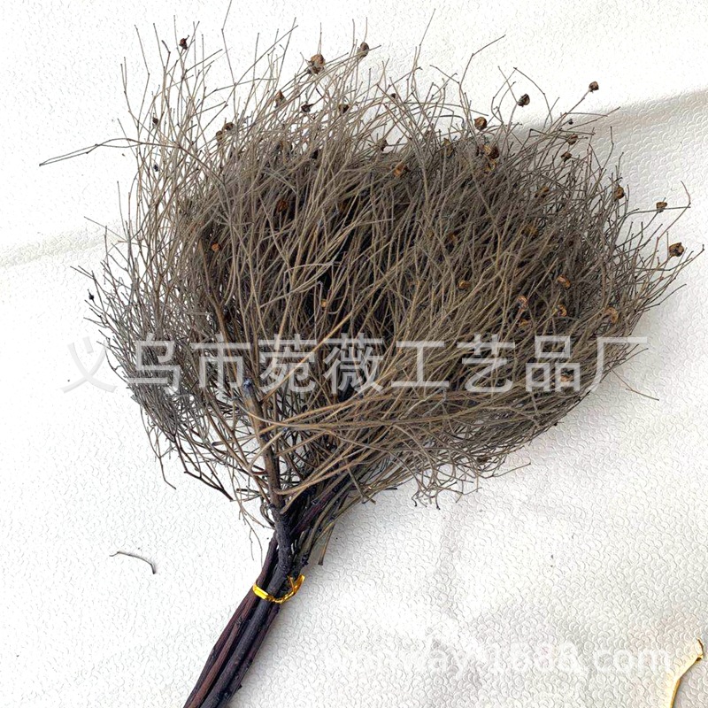 微信图片_20200527195130