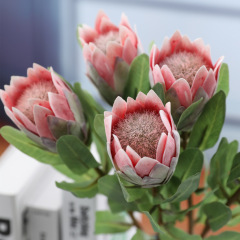 仿真花3D膠布小帝王花假花家居裝飾高中檔仿真植物樣板房設計插花