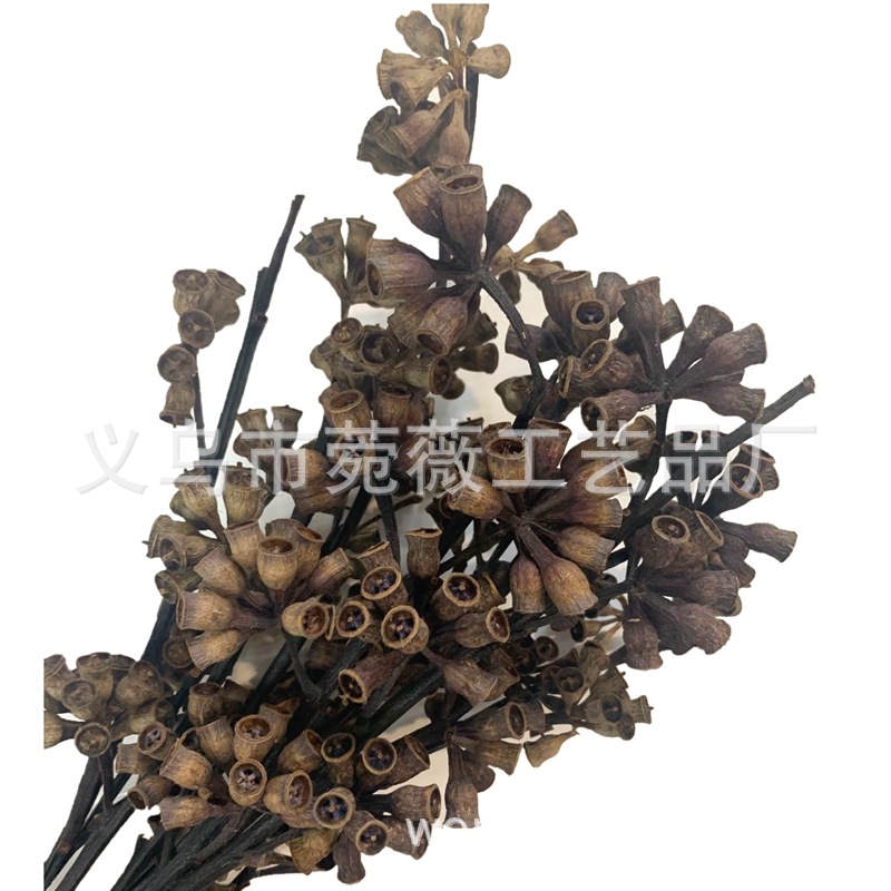 微信图片_20200427133438