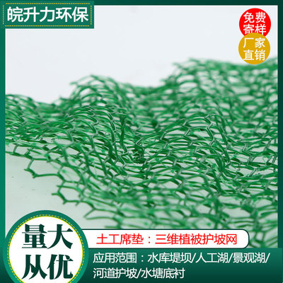 皖升力三維植被網排水滲水園林綠化護坡植草袋垃圾填埋場土工席墊