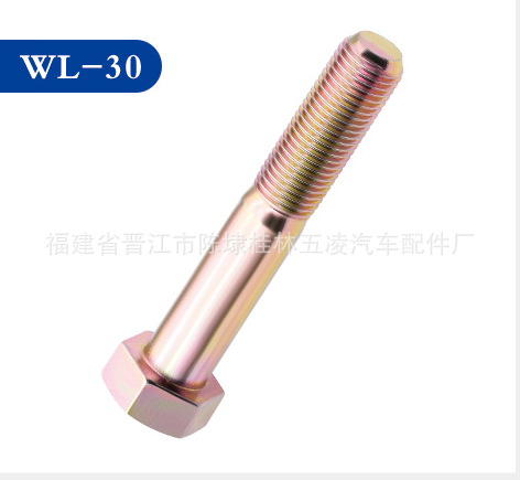 供应轮胎中心螺丝等各种紧固件底盘件