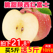 陕西红富士苹果整箱10斤批发糖心丑苹果应季新鲜水果包邮一件代发