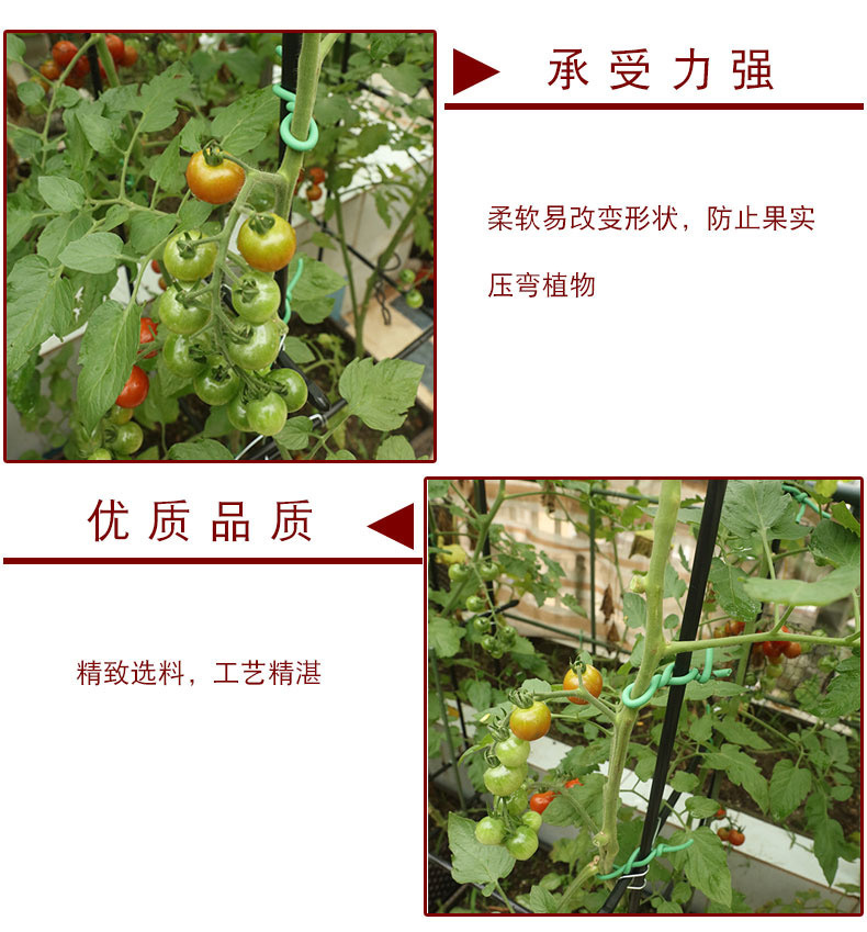 IMG_2752(20200622-094734)