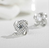 Fashionable accessory, platinum earrings, Korean style, does not fade