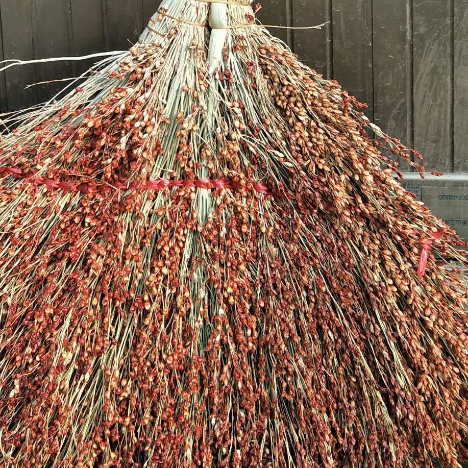 微信图片_20200507222403