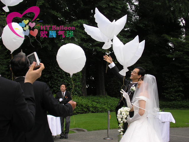 9155615148_1419211394