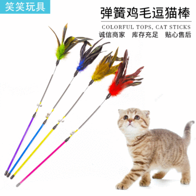 猫玩具透明弹簧杆逗猫棒 鸡毛铃铛逗猫杆幼猫咪玩具猫用品