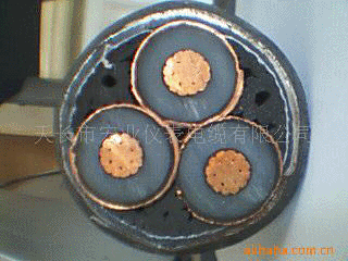 供应安徽品牌电力电缆 ZR-YJV22