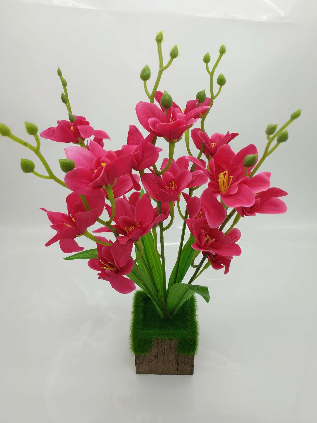 WeChat 圖片_20200704113649