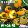 Yellow sweet pepper seeds yellow sweet pepper seed color pepper seed lanterns pepper pepper seeds vegetable seeds wholesale vegetables