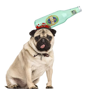 Cross-border Pet Funny Toy Dog Cat Headgear Dress Up Tricky Props Pet Halloween Headwear Hat