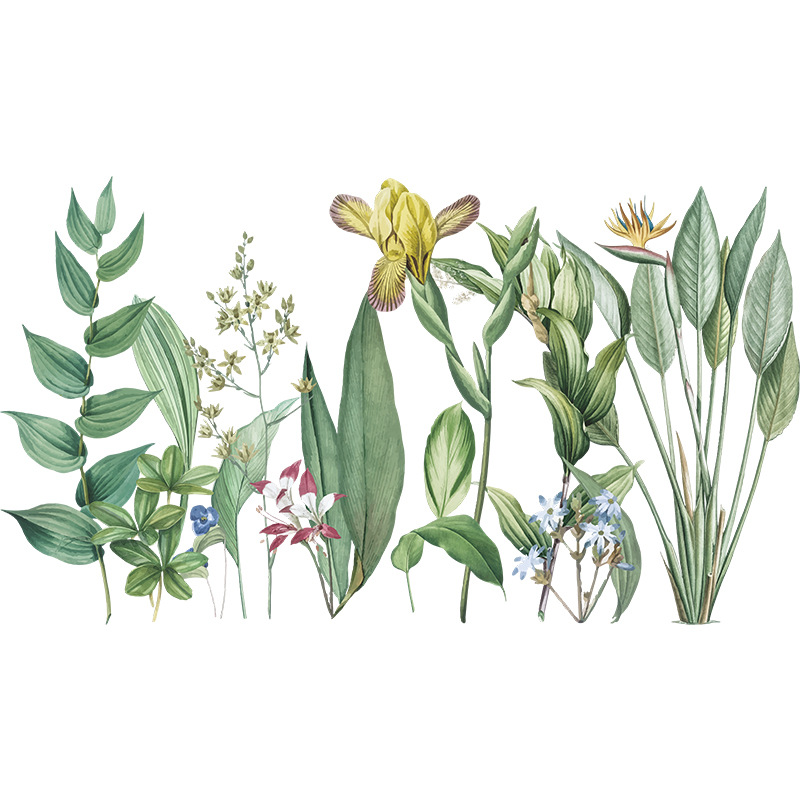 Nouveaux Stickers Muraux De Langue De Fleur De Plante display picture 7