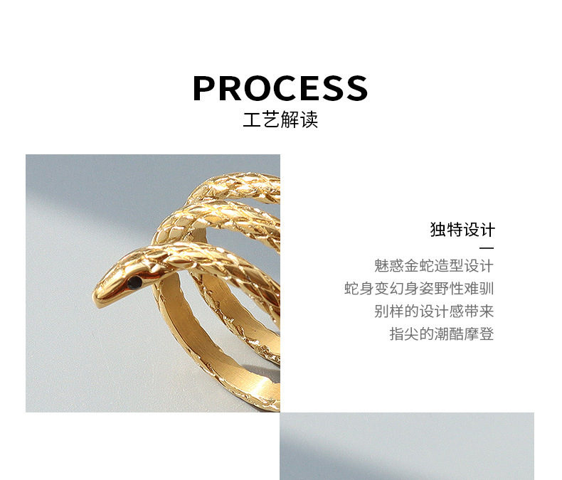 Snake-shaped Titanium Steel Ring display picture 10