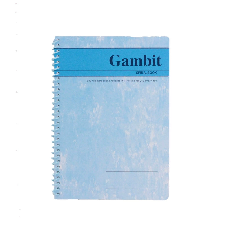 Coil spiral notebook, sizes A4 A5 A6 A7 B5, 40–100 pages, lined ruled, random cover color