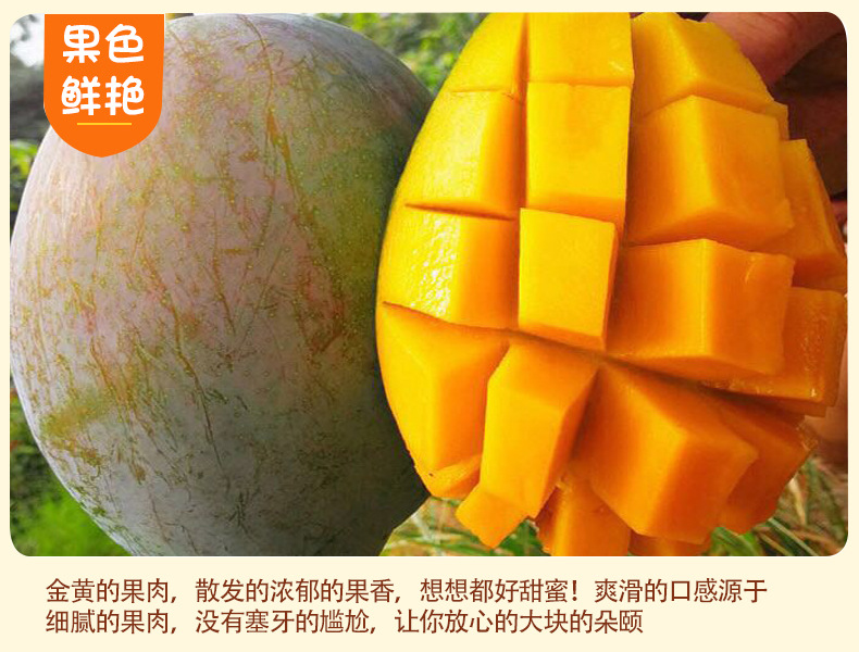 2.jpg?x-oss-process=image/format,png