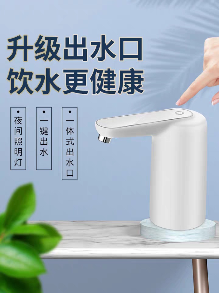 带灯款描述3