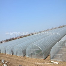 温室大棚 花卉通风性好温室大棚 新型农业种植温室大棚 插地拱棚