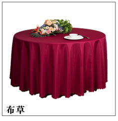 2020 plastic plant template _05
