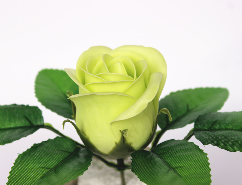 一键复制_20200227134216