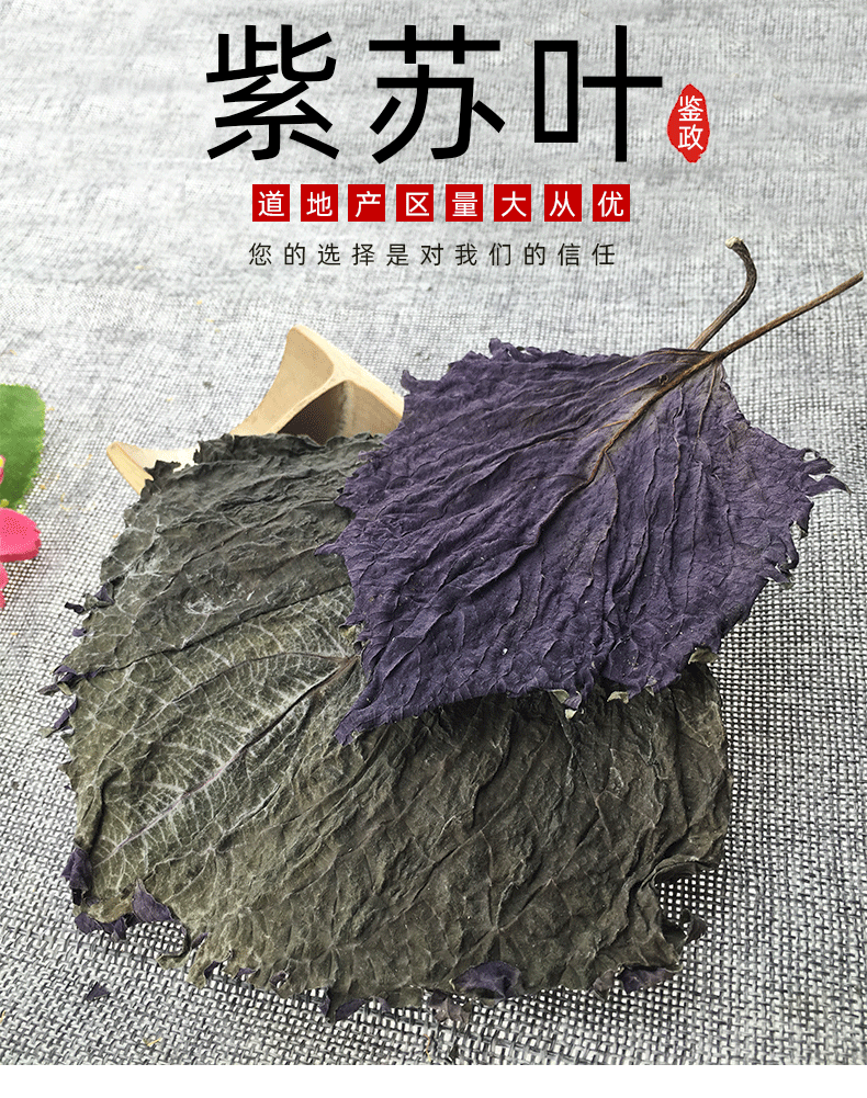 Dried Perilla Leaf Zi Su Ye 500g Farm Sun Dried Culinary Herb for Fish Crab and Shrimp Dishes key features